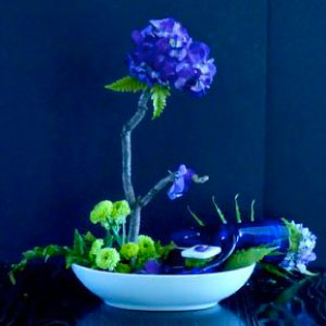 Andi Curran | Winner of Wash Your Hands Class