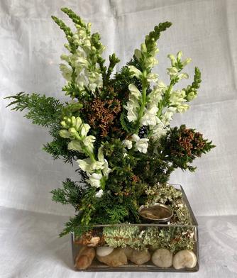 Kathleen Truelove | Head to the Mountain