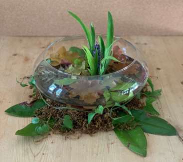 Tracy Swindell | Down by the Lake